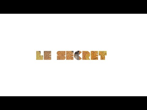 Arthur H - Le secret (Lyrics Video)