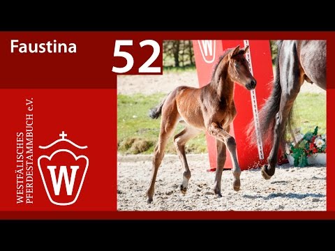 52 Faustina SF v. For Romance I -  Quinta Real