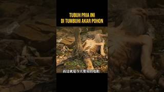 Download lagu THIS MAN'S BODY BECOME FERTILIZER FOR TREE ROOTS #filmstoryline #film mp3