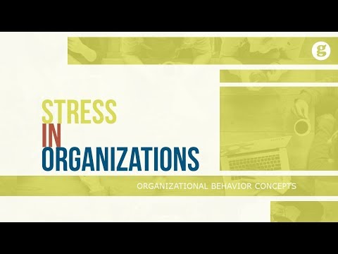 What is Organizational Behavior