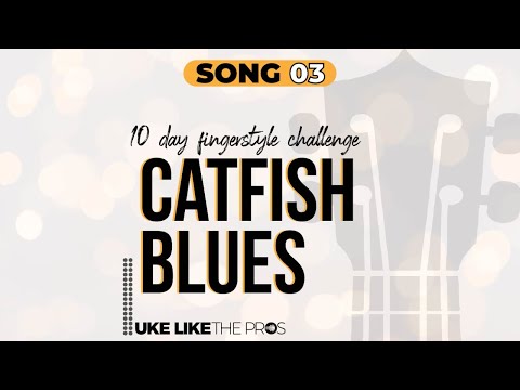 LIVE 10 Day Fingerstyle Challenge - Song 3: Catfish Blues