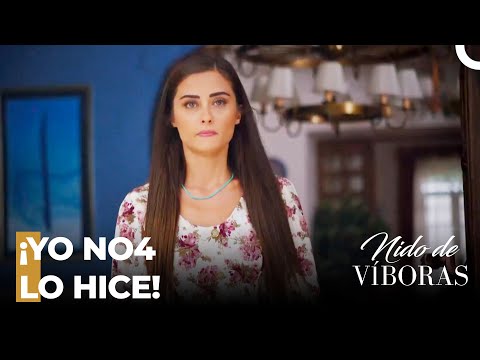 ¡Se Revela La Culpabilidad De Elvan! - Nido De Víboras