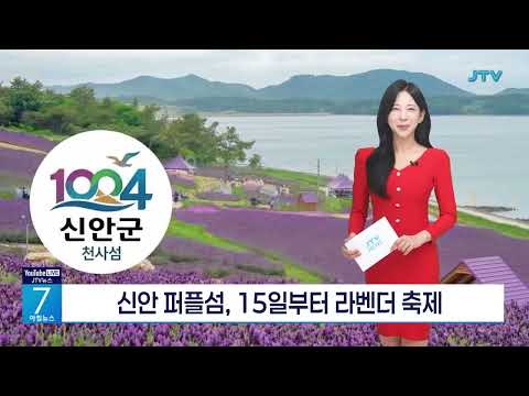 비디오 19