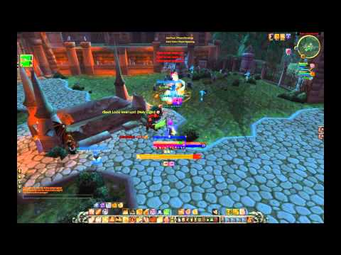 Cataclysm Beta - 2v2 Arena - Warrior Paladin vs Enh. Shaman Warlock (win)