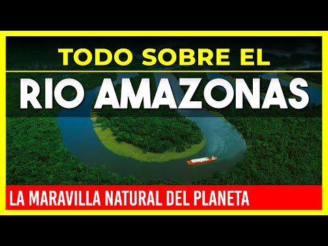 🔴 ALL ABOUT THE AMAZON RIVER 🔴 THE NATURAL WONDER OF THE PLANET 🌲 WAMAN ADVENTURES