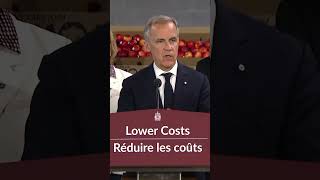 Canada delays Gordie Howe bridge opening at U.S. request, Carney says
