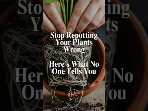 Topfen Sie Ihre Pflanzen nicht mehr falsch um – das sagt Ihnen niemand #rootsandroasts