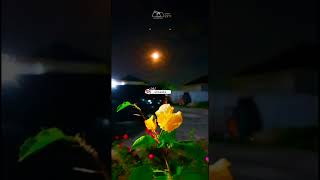 Download lagu Story Wa UNGU - Sepi Gelisah #shorts #ungu mp3