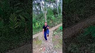 Download lagu bukan dikit Joss #joged #hiburan mp3