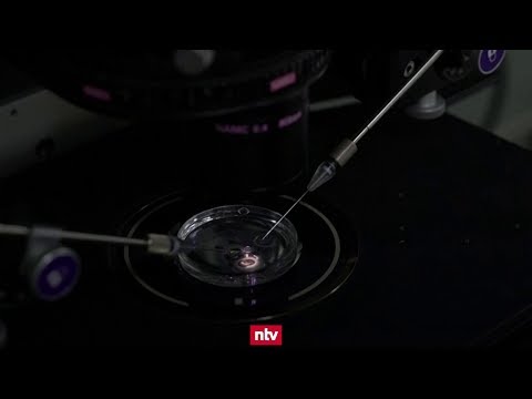 Geburt von HIV-resistenten Babys