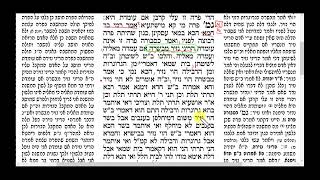 דף יומי מסכת מסכת נזיר דף י - השיעור המשולב: לימוד מהתרשים וקריאה בגמרא