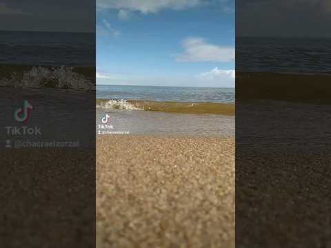 Playa Colonia Blancarena