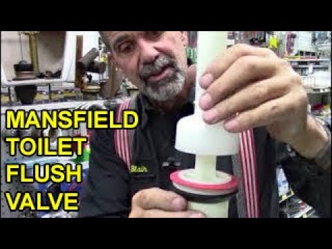 Easy Mansfield Toilet Flush Valve Gasket Repair, Replace Seal, Handle Fix