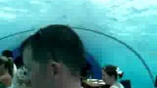 The five-by-nine meter restaurant has a capacity of 14 people and offers a 270° panoramic view. Meals range in cost from US$120.00 (lunch for hotel guests on Full Board meal plan) to US$150.00 (dinner for hotel guests on Bed & Breakfast meal plan). You can also spend the night at Ithaa at a rate of a whooping US$11,710 per night! If you do, Ithaa will be closed for the evening for you to stay overnight and I would love to hear your experience! This restaurant has to be replaced in 15 years due to exposure to the salt water