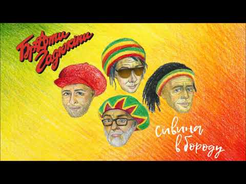 БРАТИ ГАДЮКІНИ – СИВИНА В БОРОДУ (official audio)