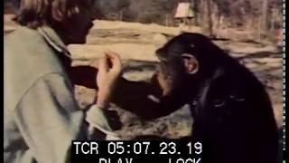 Human and animal communication with Washoe the chimp in 1983
