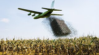 U.S Released Something That Devastates Cornfields Across The USA — U.S. Plan Comes At A Cost
