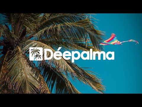 Momo Khani & Meindel feat. StanLei - Lecture (DJ Phellix Remix)