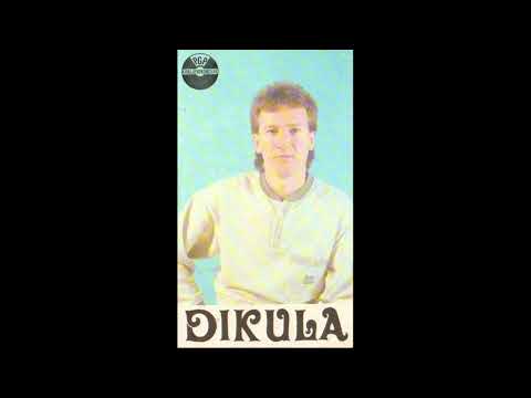 Dragan Djuric Dikula - Ti si zena mog zivota