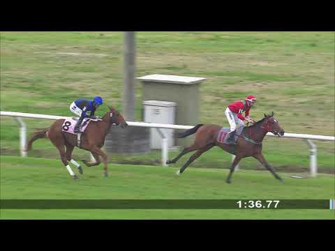 30/08/2019 – Hipodromo Maroñas – Carr 2 – JUST ONE (2010)