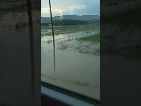 Tęgoborze 24.06.2021