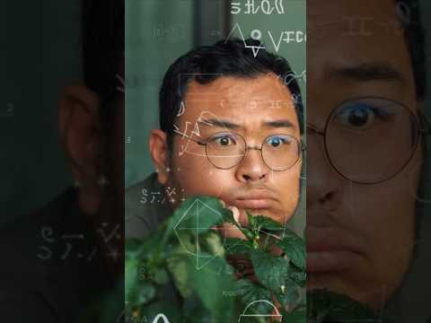 Mad Math the Game