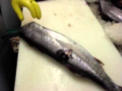 Filleting Gem Fish - by Dean Grooby Knifetechnz Ltd