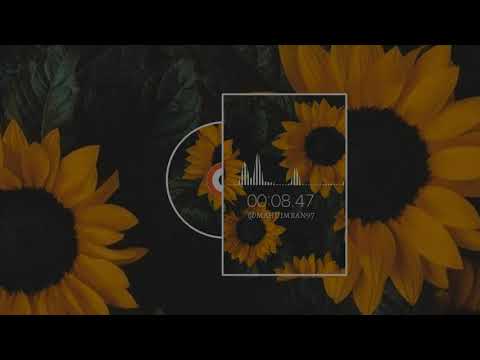 Story'wa 2019, jaga hati - 12Ri squad