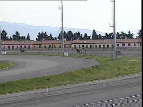 IPPODROMO FOLLONICA -  Prova di qualifica Sibelius Du Lac-Man Matteini