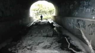 What a life it would be