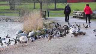 preview picture of video 'newyear 2014 in Sollentuna, Sweden'