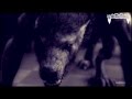 Werewolf Tribute | Animal I Have Become ϟ Collab ...
