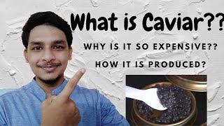 [Hindi] What is Caviar? कैवियार क्या होता है? Why caviar is so expensive? How Caviar is produced!