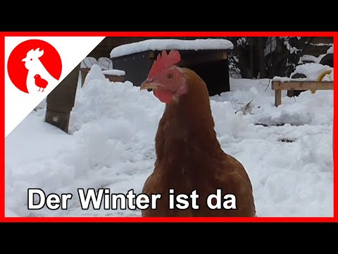037 Der Winter ist da - Jensman and the Huhns