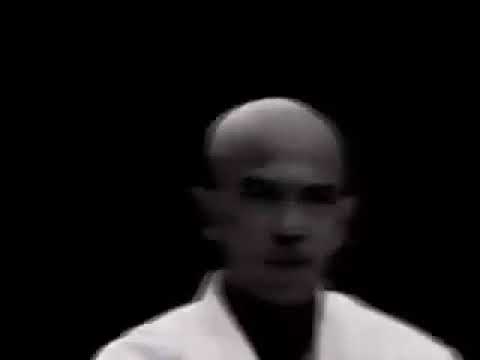 Ryuei-ryu karate all kata bunkai