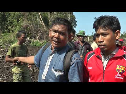 Sengketa Lahan Kebun Sawit H  Tito Di Rusak Warga 1 (14/5/2016)