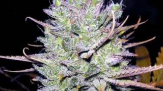 Andre Nickatina & Equipto - That