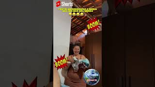TENTOU IMPRESSIONAR, olha só o que deu #youtubeshorts #viralvideo #comedia #shorts