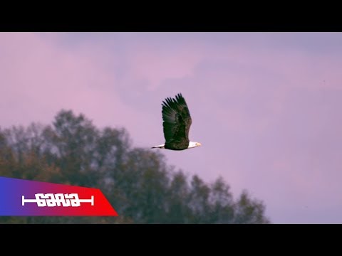 Axelone - Αετός | Axelone - Aetos