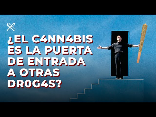 Vídeo relacionado con La revolución de la marihuana (Revista nº 23)