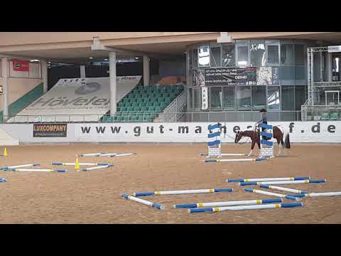 Euro Paint Show-Kreuth-2018-Trail Am.-Sunshine Color Skip