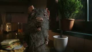 Orkin “DIY” (Rat) | Orkin | The Best in Pests