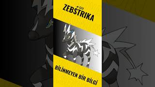 Zebstrika Gibi Elektrik Pokémon Hiç Görmemişiz ⚡️