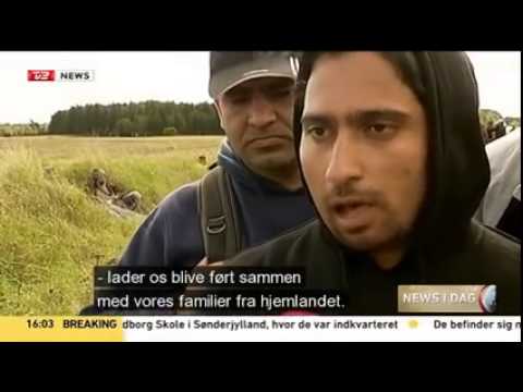 Reporter i Danmark frågar flyktingarna varför de inte vill va i danmark