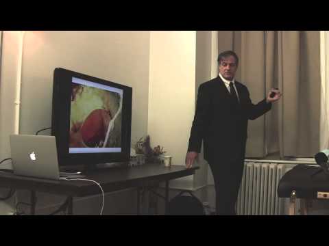 Osteopathy in the Cranial Field NYC 2014: Introduction Lecture