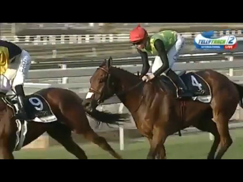 Deo Juvente (Callan Murray) won The Grade 1 Premier's Champions Challenge