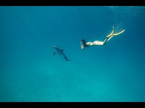 The Bimini Road, Dolphins and Summer Solstice