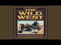 The Wild West Theme