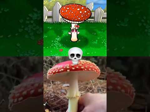 The Fly Agaric 🍄 (PVZ) #pvz #plantsvszombies