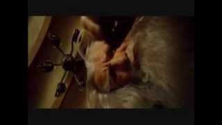 Bauhaus - The Dog&#39;s a Vapour